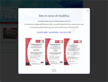 Tablet Screenshot of faset.com